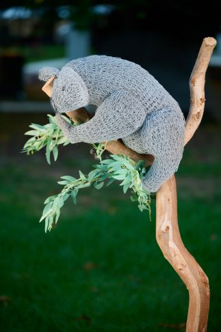 Kazza Koala Kazza Koala