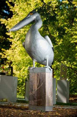 Pelican Pelican