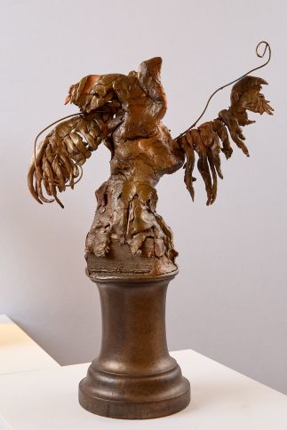 Sea Angel