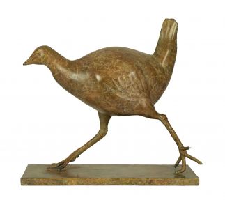 Turbo chook
