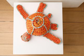 Tangarine Turtle Tangarine Turtle
