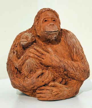 Orang-utan and baby Orang-utan and baby
