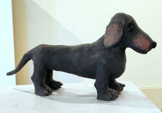Dachshund