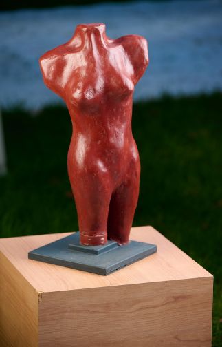 Female Torso