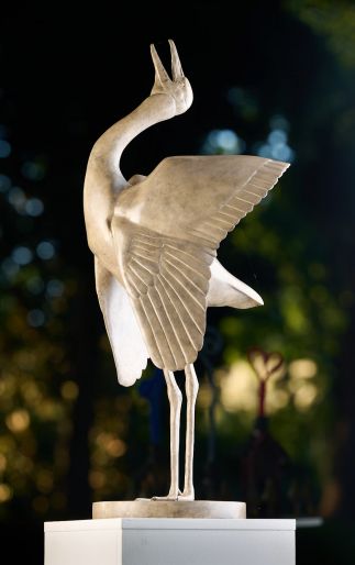 Dancing Brolga