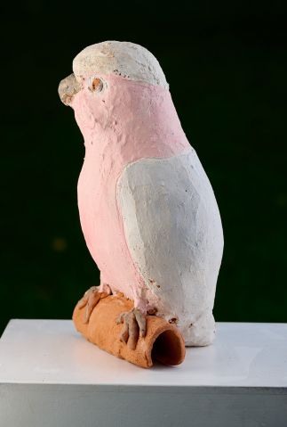 Galah Galah