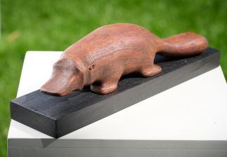 Platypus Platypus