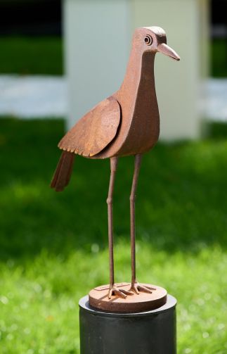 Bush Stone Curlew Bush Stone Curlew