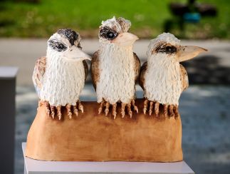 Trio of Kookaburra’s