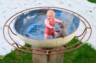 Teddy learns to swim. Teddy learns to swim.
