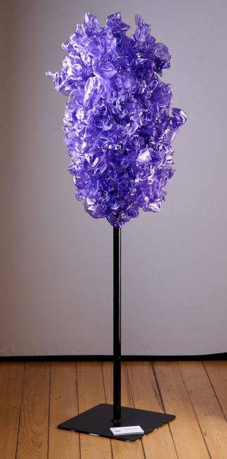 Jacaranda