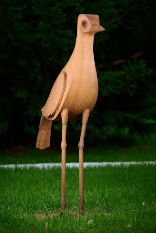 Bush Stone Curlew Bush Stone Curlew