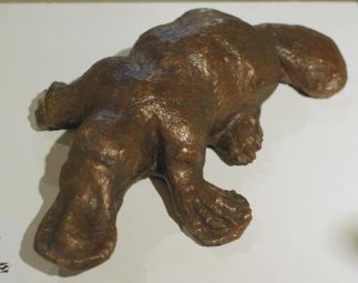 Platypus