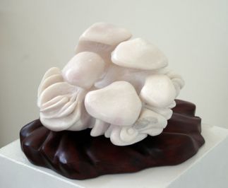 Mushroom Cluster No. 2