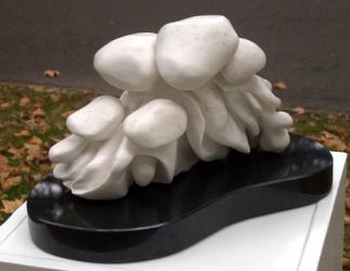 The Cluster No. 2