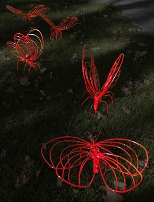 Wings of the Field