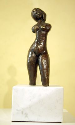 Zonetta