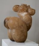 Jenny Whiteside