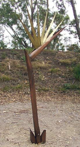 Bird of Paradise Bird of Paradise