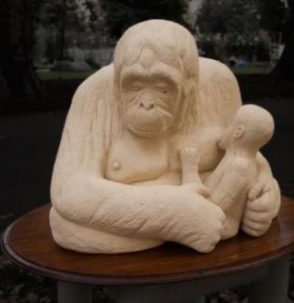 Orang-Utan
