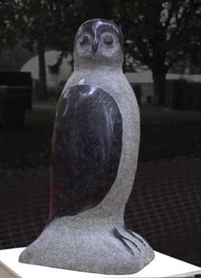 Powerful Owl