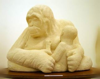 Sally the Orang-utan