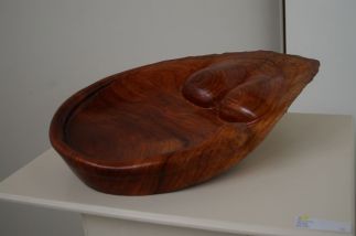 The Asp