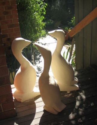 A Gaggle of Geese