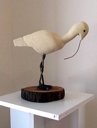 Clarissa the Curlew