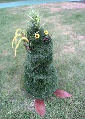 Garden Sprite