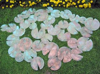 Water Lillies