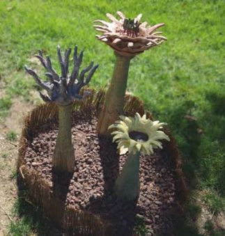 How Does Your Garden Grow? How Does Your Garden Grow?
