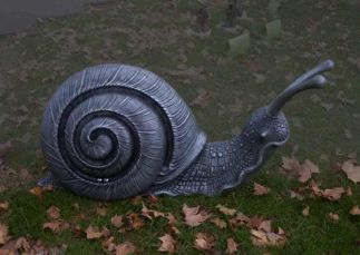 Snail Play (racing snails) Snail Play (racing snails)