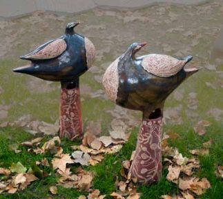 Bronzewing Pair Bronzewing Pair