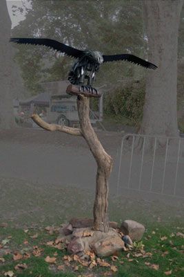 Bird of Prey Bird of Prey