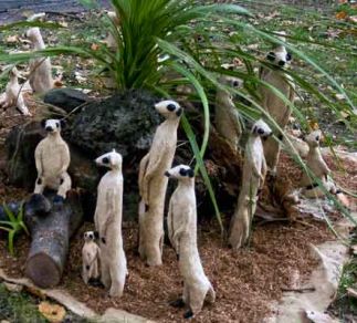 Meerkats #3 Meerkats #3