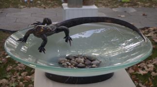 Goanna Dish Goanna Dish