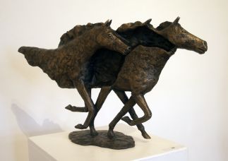 Brumbies Brumbies