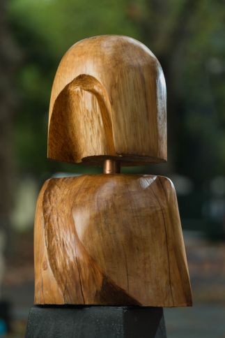 Faceless Warrier