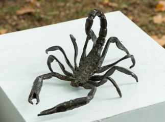 Scorpion