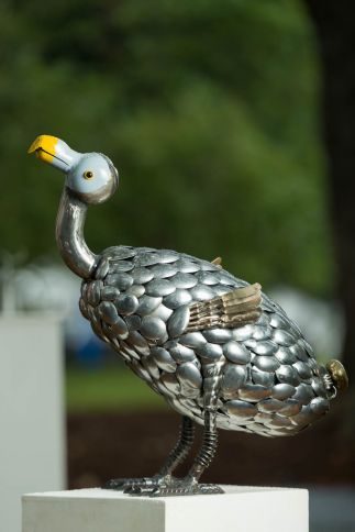 Dodo Dodo