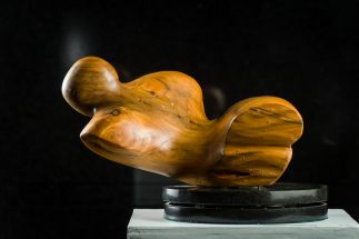 Reclining Figure