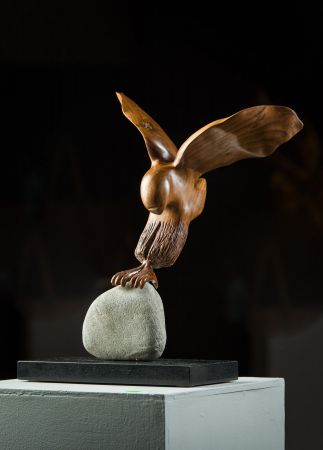Bateleur