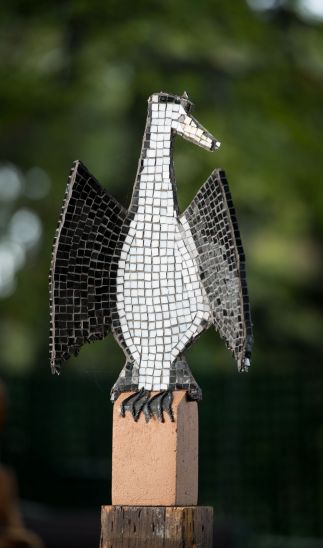 Cecil the Cormorant